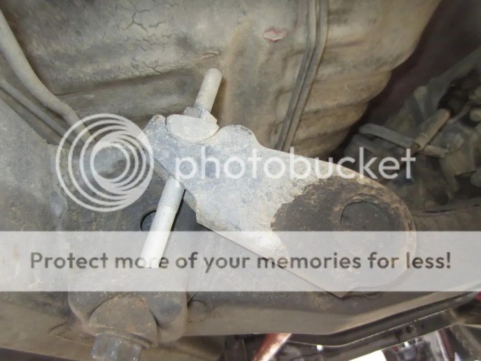 Photoshop uca spindles had